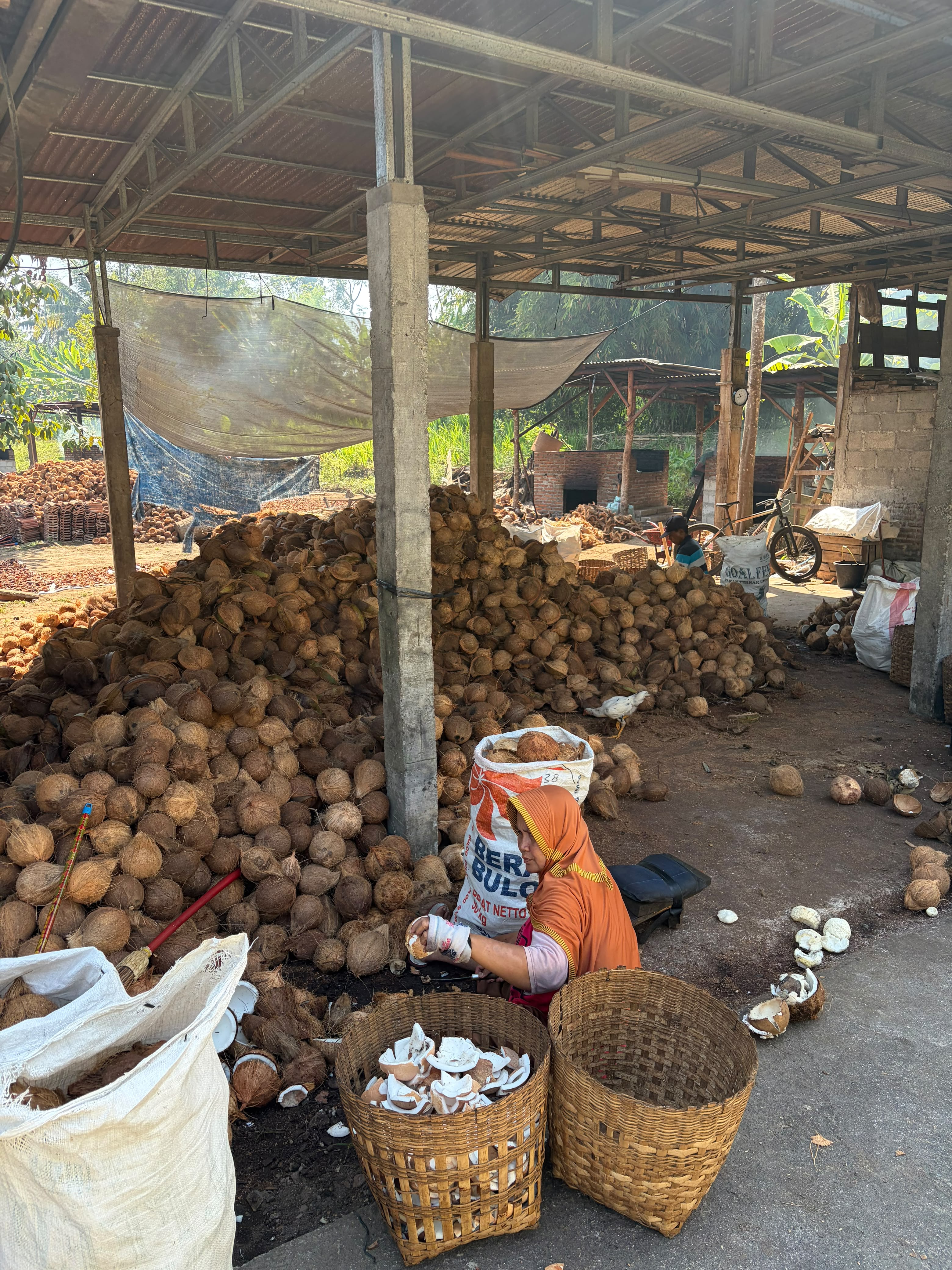 Global Optima Distribusi coconut processing activity
