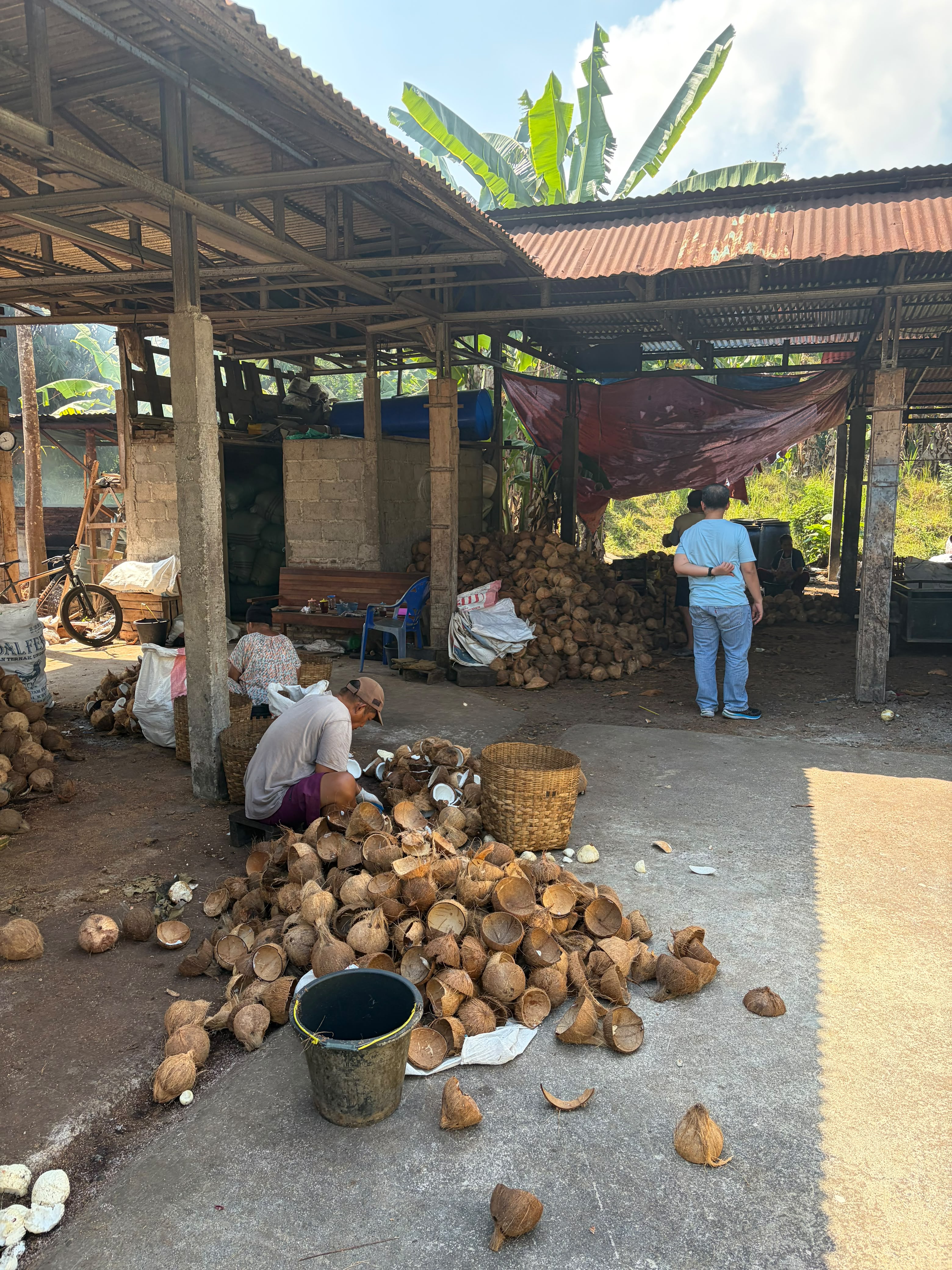 Global Optima Distribusi coconut processing activity