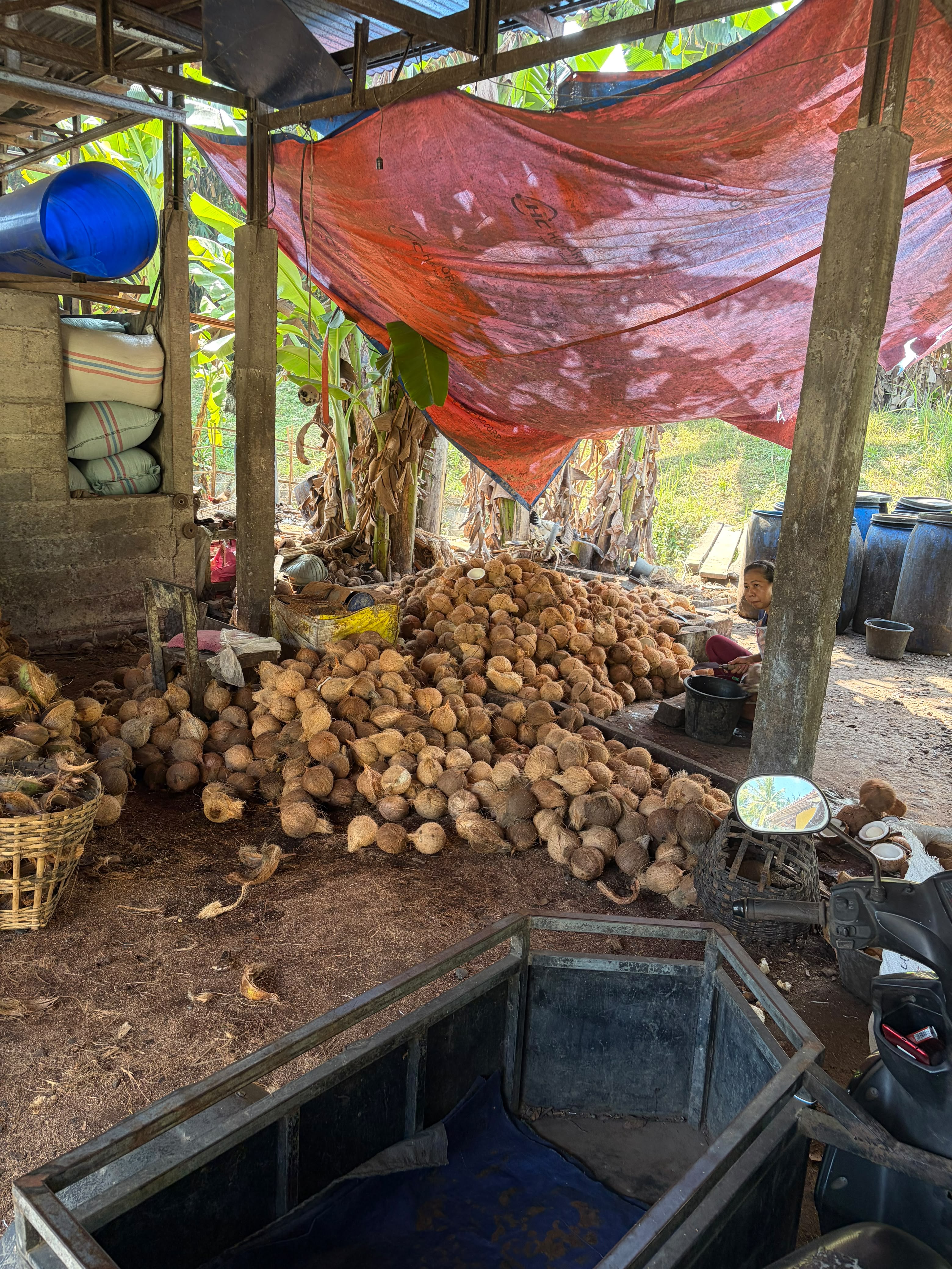 Global Optima Distribusi coconut processing activity